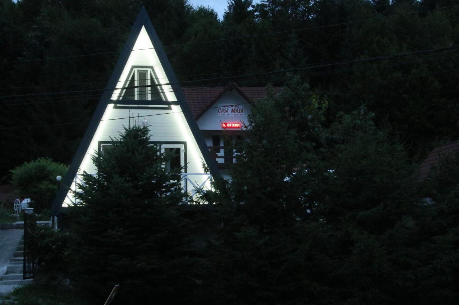 Casa Maia Apartment Cârțișoara Exterior photo