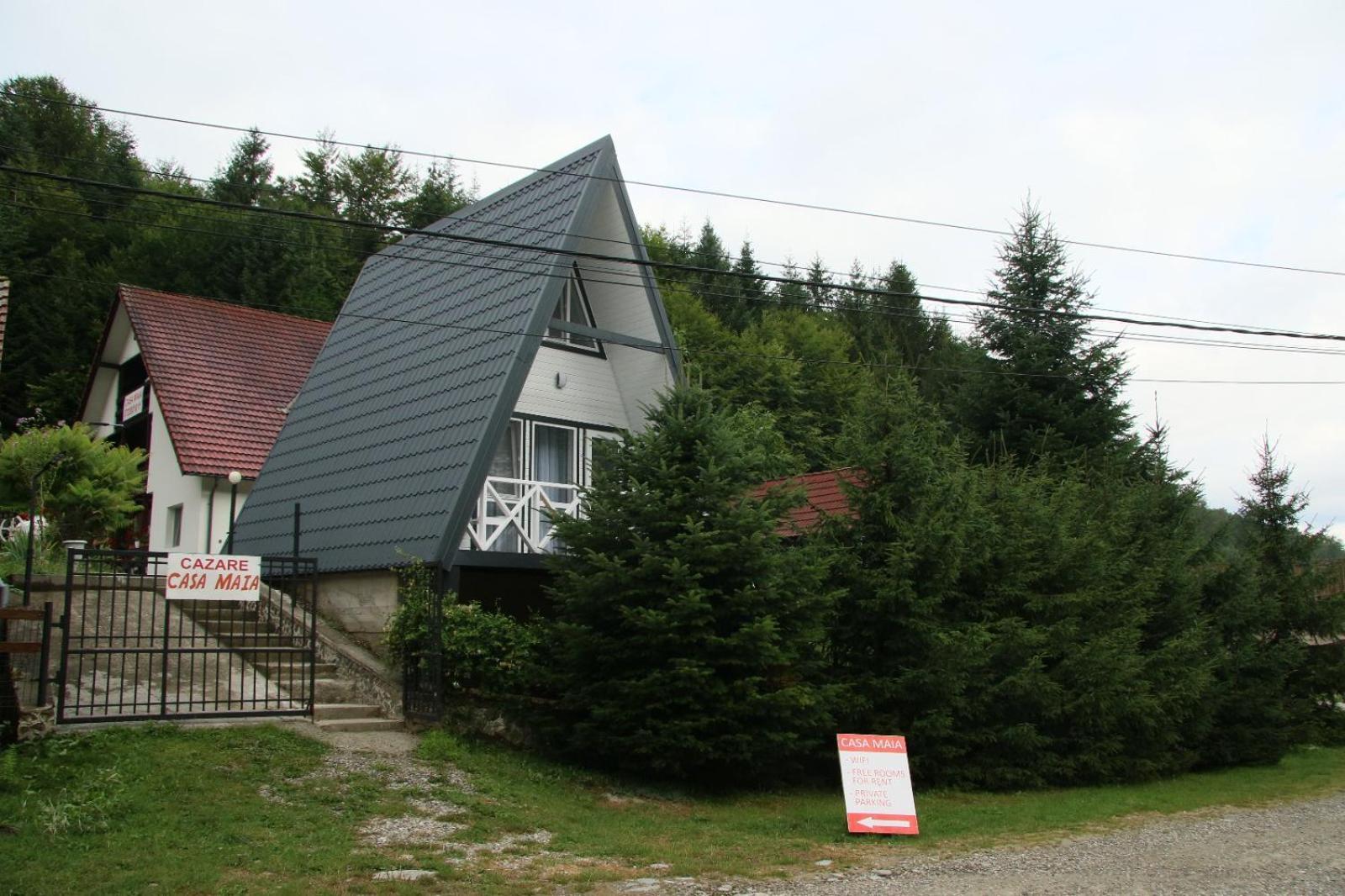 Casa Maia Apartment Cârțișoara Exterior photo